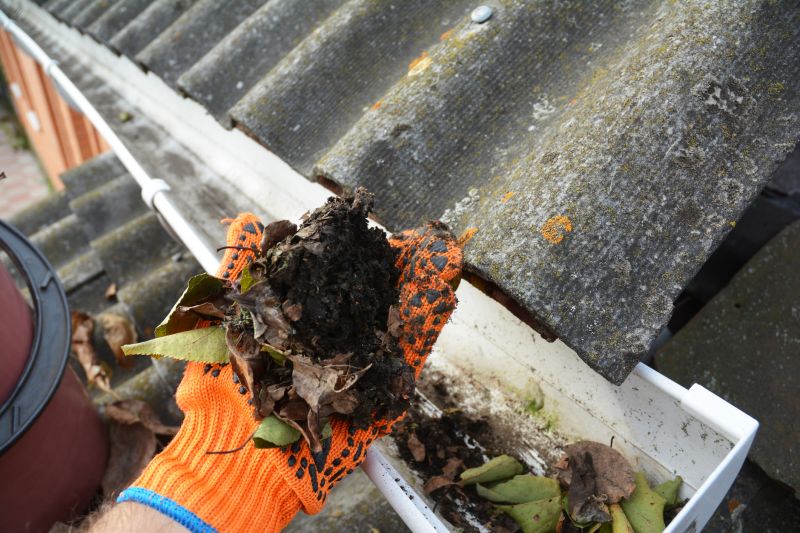 Church Gutter Cleaning in Denver, CO