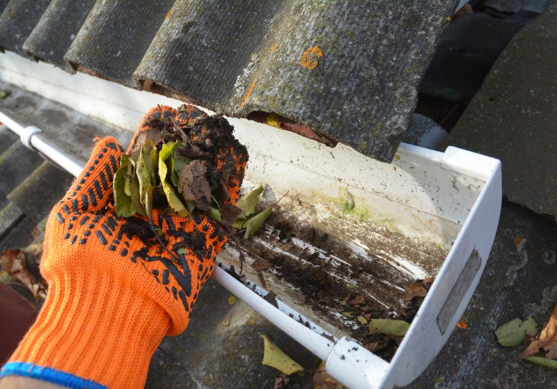 Gutter Leaf Clearing in Morris County, NJ